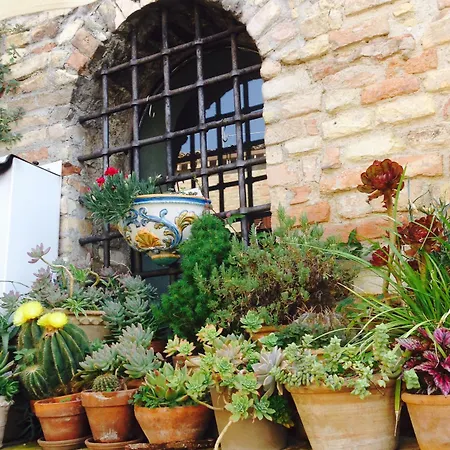 Torre Di Palme B&B *