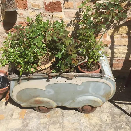 Torre Di Palme B&B * Torre di Palme