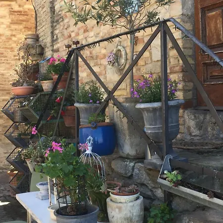 לינה וארוחת בוקר Torre Di Palme B&B *