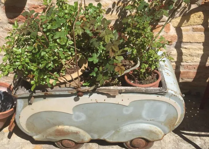 Torre Di Palme B&B * Torre di Palme